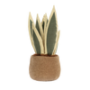 JELLYCAT AMUSEABLE SNAKE PLANT