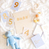 FOX & FALLOW BABY MILESTONE CARDS - POWDER BLUE